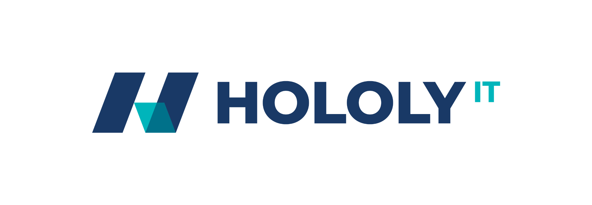 HOLOLY IT
